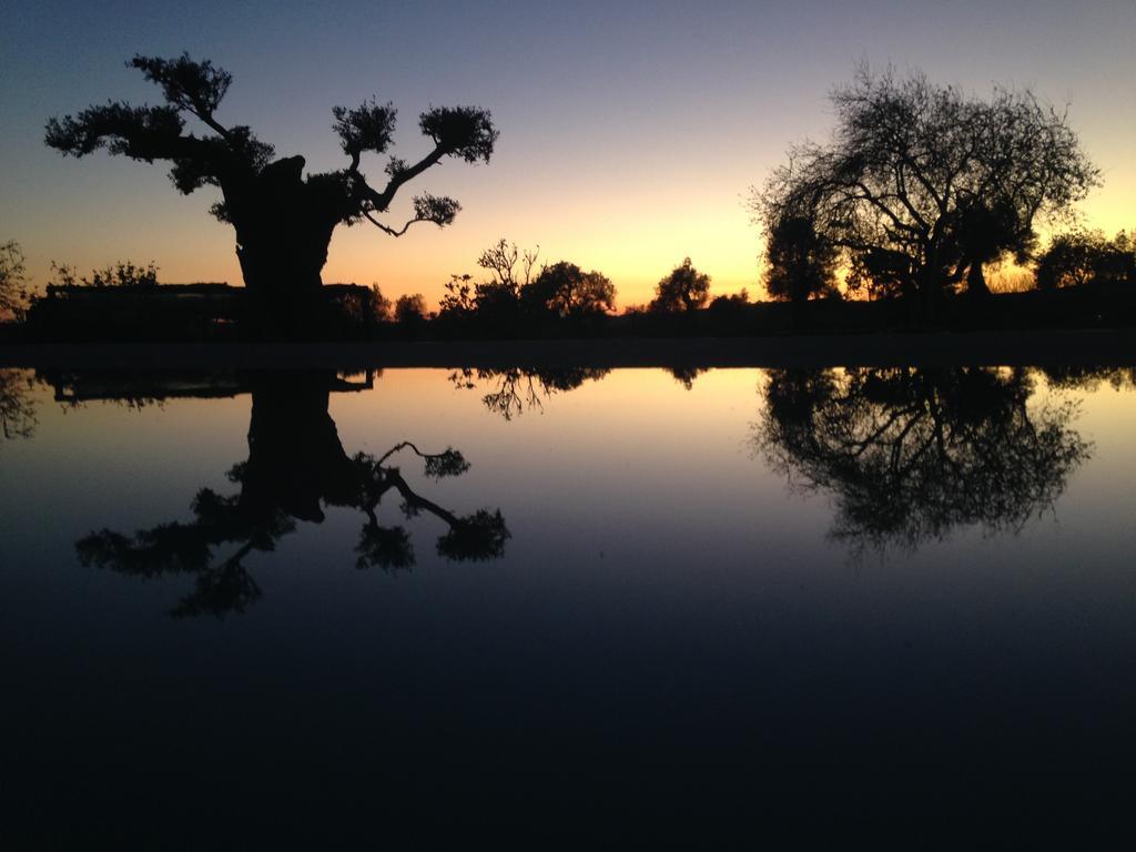 Espargosa Monte de Baixo&Art Castro Marim Exterior foto